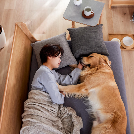 Dorothy II 沙發用布套|Meuble