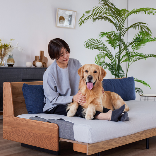 Dorothy II 沙發用布套｜Meuble
